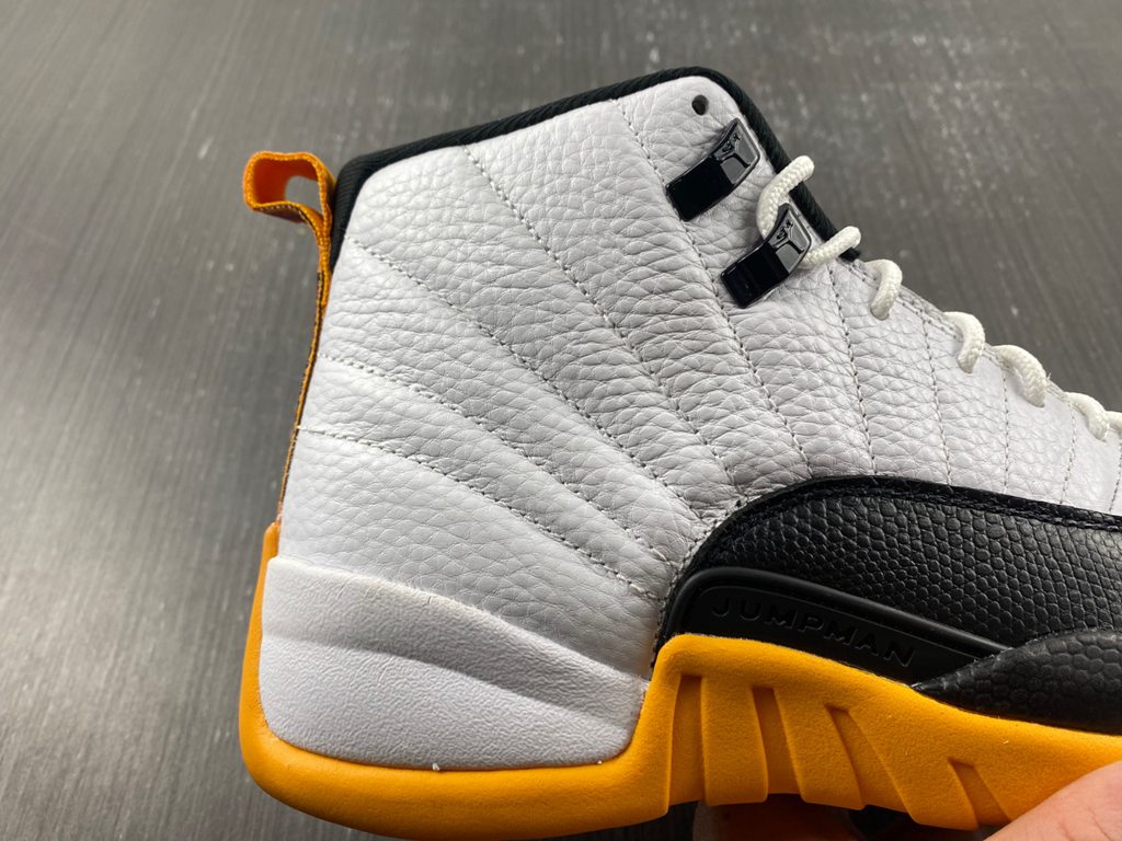 Air Jordan 12 Retro AJ12  DR8887-100